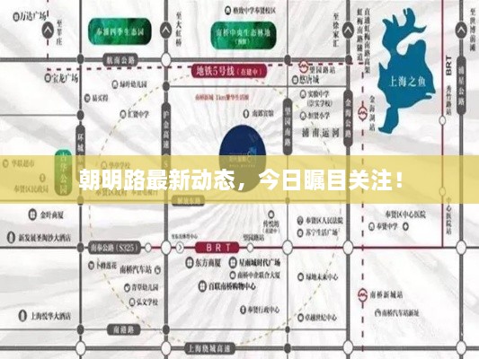 朝明路最新動態(tài)，今日矚目關(guān)注！