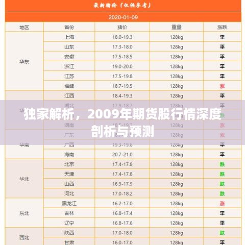 獨家解析，2009年期貨股行情深度剖析與預(yù)測