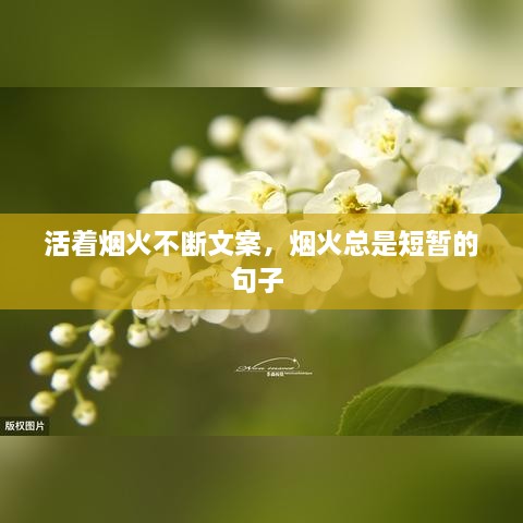 活著煙火不斷文案，煙火總是短暫的句子 