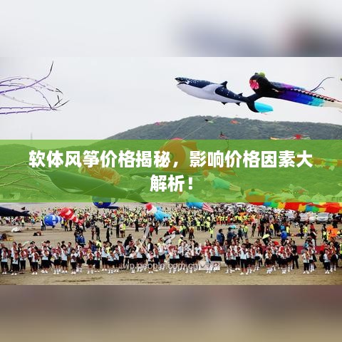 軟體風(fēng)箏價格揭秘，影響價格因素大解析！