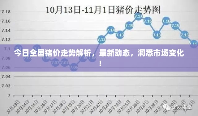 今日全國(guó)豬價(jià)走勢(shì)解析，最新動(dòng)態(tài)，洞悉市場(chǎng)變化！