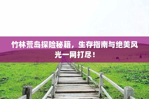 竹林荒島探險(xiǎn)秘籍，生存指南與絕美風(fēng)光一網(wǎng)打盡！