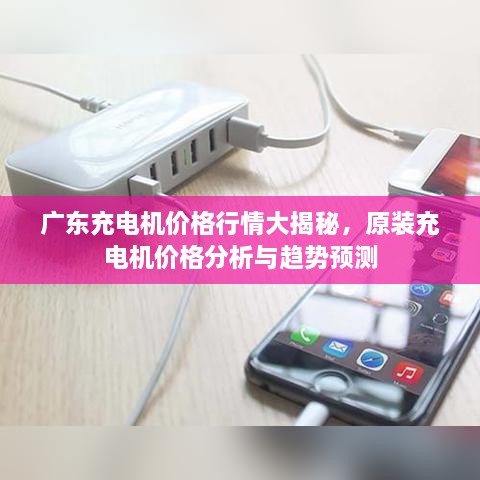 廣東充電機(jī)價(jià)格行情大揭秘，原裝充電機(jī)價(jià)格分析與趨勢預(yù)測