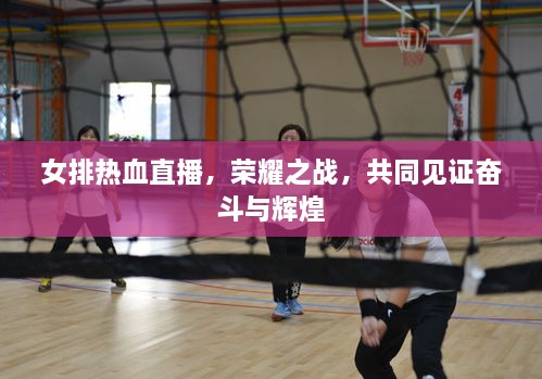 女排熱血直播，榮耀之戰(zhàn)，共同見證奮斗與輝煌