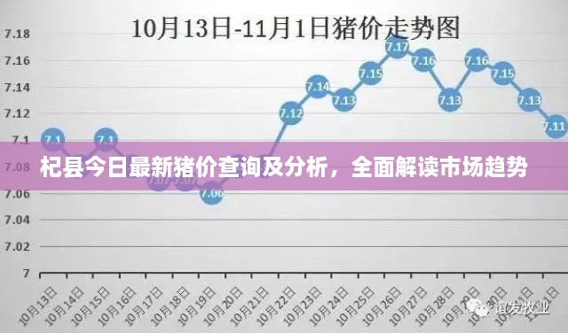 杞縣今日最新豬價(jià)查詢及分析，全面解讀市場趨勢