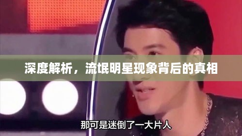 深度解析，流氓明星現(xiàn)象背后的真相