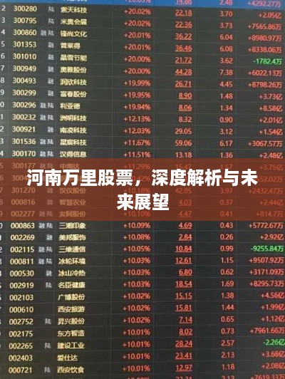 河南萬里股票，深度解析與未來展望