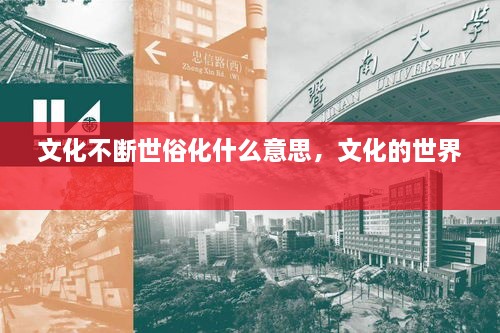 文化不斷世俗化什么意思，文化的世界 