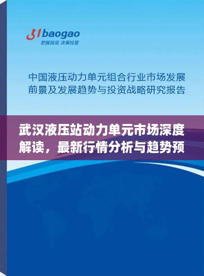 武漢液壓站動力單元市場深度解讀，最新行情分析與趨勢預(yù)測