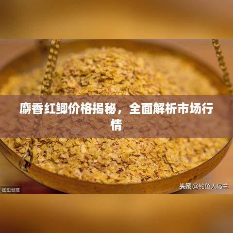 麝香紅鯽價(jià)格揭秘，全面解析市場(chǎng)行情