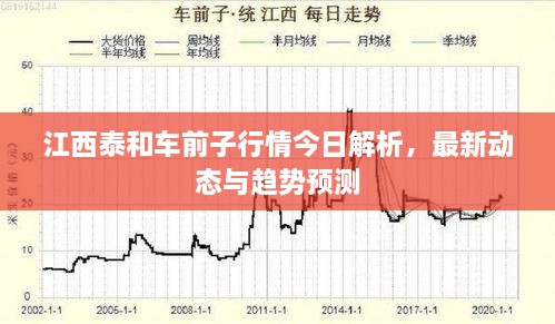 江西泰和車前子行情今日解析，最新動(dòng)態(tài)與趨勢(shì)預(yù)測(cè)