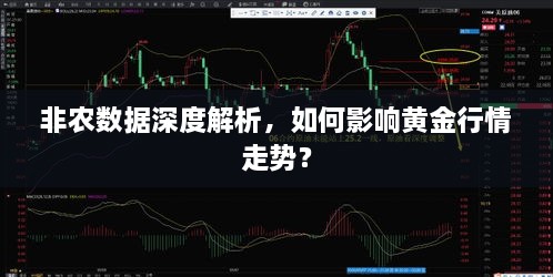 非農(nóng)數(shù)據(jù)深度解析，如何影響黃金行情走勢(shì)？