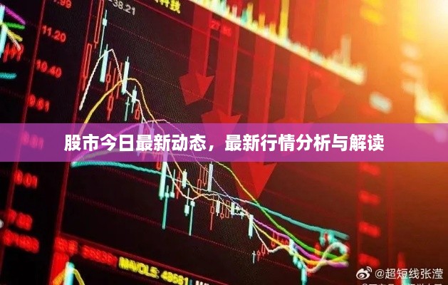 股市今日最新動(dòng)態(tài)，最新行情分析與解讀