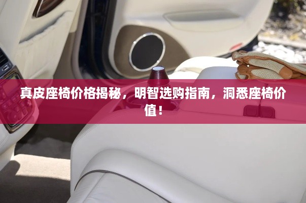真皮座椅價格揭秘，明智選購指南，洞悉座椅價值！