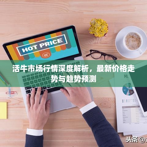 活牛市場行情深度解析，最新價格走勢與趨勢預(yù)測