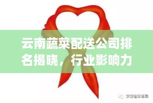 云南蔬菜配送公司排名揭曉，行業(yè)影響力大揭秘！