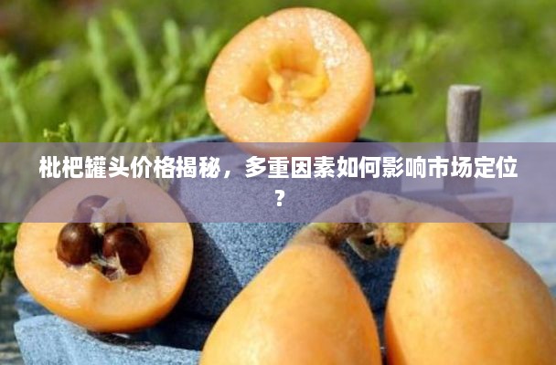 枇杷罐頭價格揭秘，多重因素如何影響市場定位？