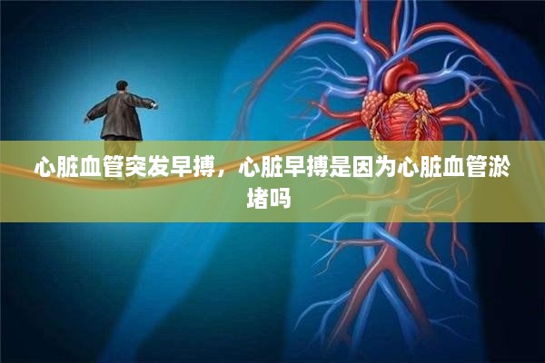 心臟血管突發(fā)早搏，心臟早搏是因?yàn)樾呐K血管淤堵嗎 
