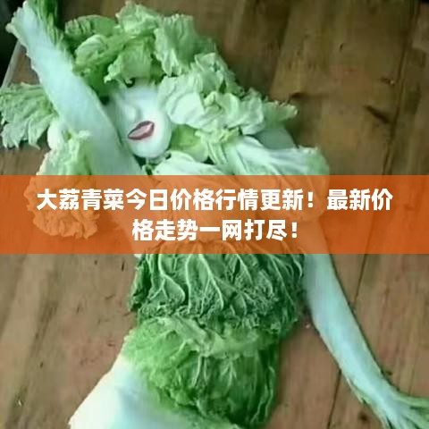 大荔青菜今日價(jià)格行情更新！最新價(jià)格走勢(shì)一網(wǎng)打盡！