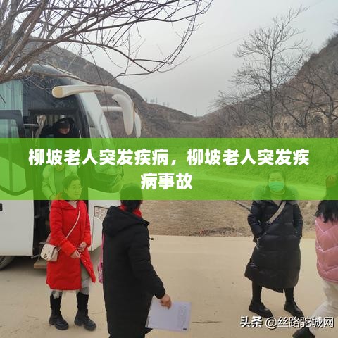 柳坡老人突發(fā)疾病，柳坡老人突發(fā)疾病事故 