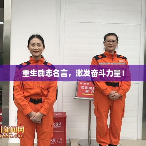 2025年3月 第37頁
