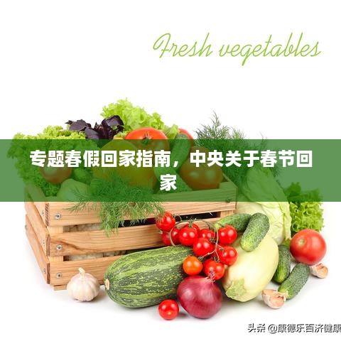專題春假回家指南，中央關(guān)于春節(jié)回家 