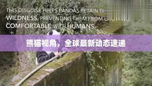 熊貓視角，全球最新動(dòng)態(tài)速遞