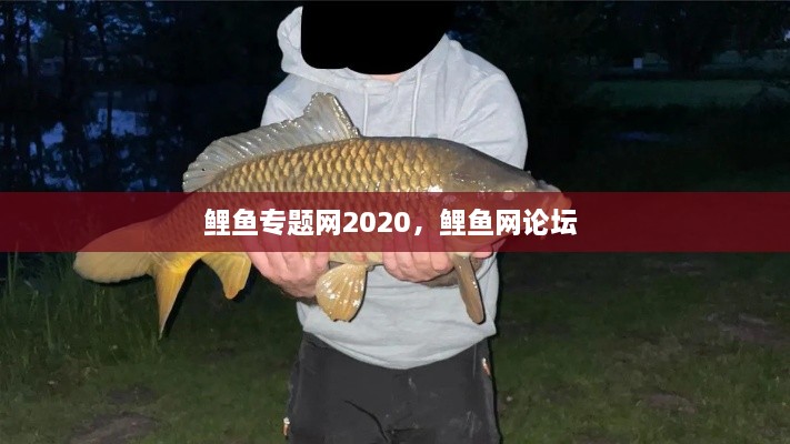 鯉魚(yú)專題網(wǎng)2020，鯉魚(yú)網(wǎng)論壇 