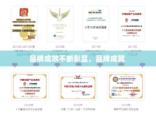 品牌成效不斷彰顯，品牌成就 