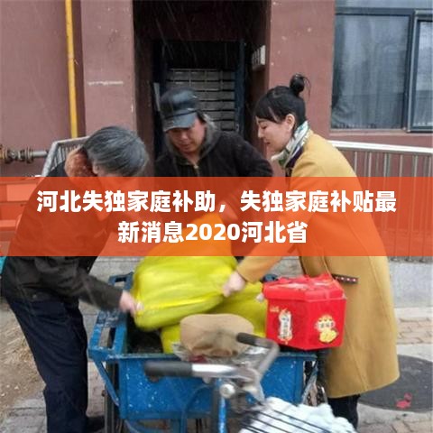 河北失獨家庭補助，失獨家庭補貼最新消息2020河北省 