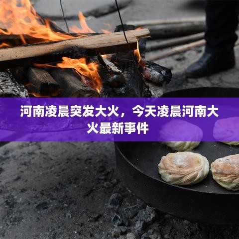 河南凌晨突發(fā)大火，今天凌晨河南大火最新事件 
