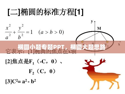 第5頁