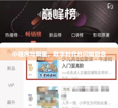 小程序與明星，數(shù)字時代的閃耀融合