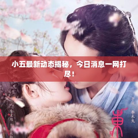 小五最新動態(tài)揭秘，今日消息一網(wǎng)打盡！