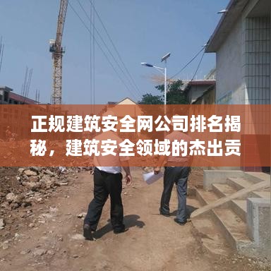 正規(guī)建筑安全網(wǎng)公司排名揭秘，建筑安全領域的杰出貢獻者