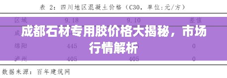 成都石材專用膠價(jià)格大揭秘，市場(chǎng)行情解析