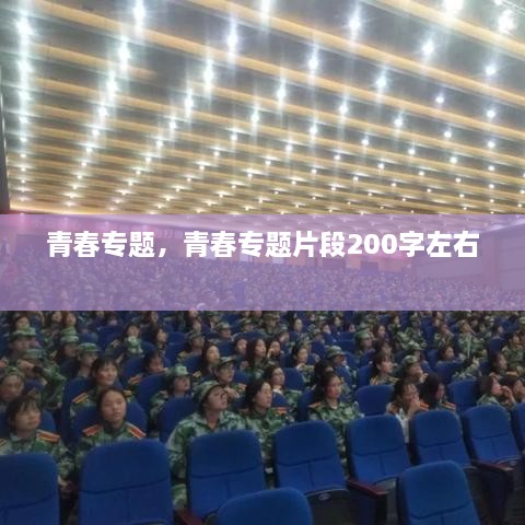 青春專題，青春專題片段200字左右 
