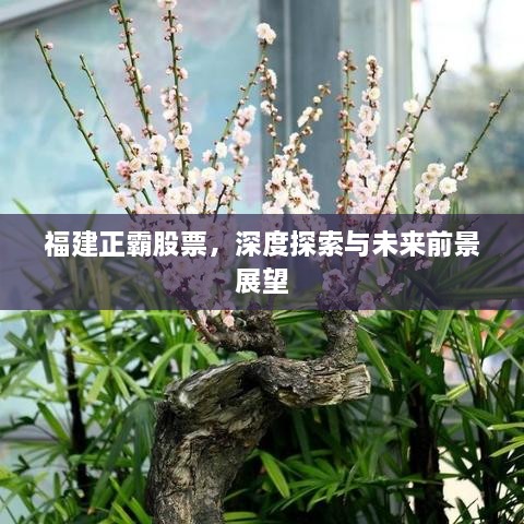 福建正霸股票，深度探索與未來前景展望