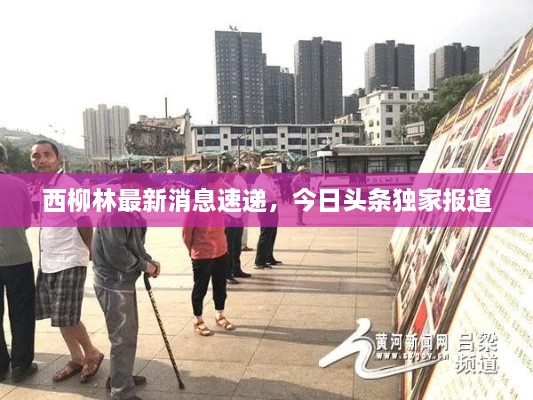 西柳林最新消息速遞，今日頭條獨(dú)家報(bào)道