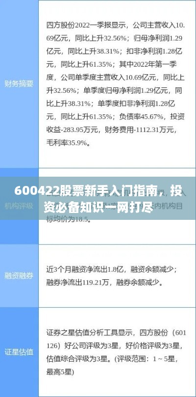 600422股票新手入門指南，投資必備知識一網(wǎng)打盡